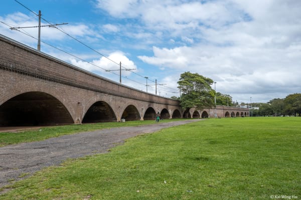 與割草機的盛夏苦戰